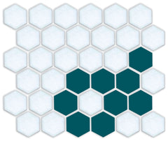 Daisy Chain | Pinnacle Hexagon Border