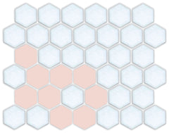 Daisy Chain | Pinnacle Hexagon Border