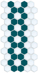 Daisy Chain | Pinnacle Hexagon Border